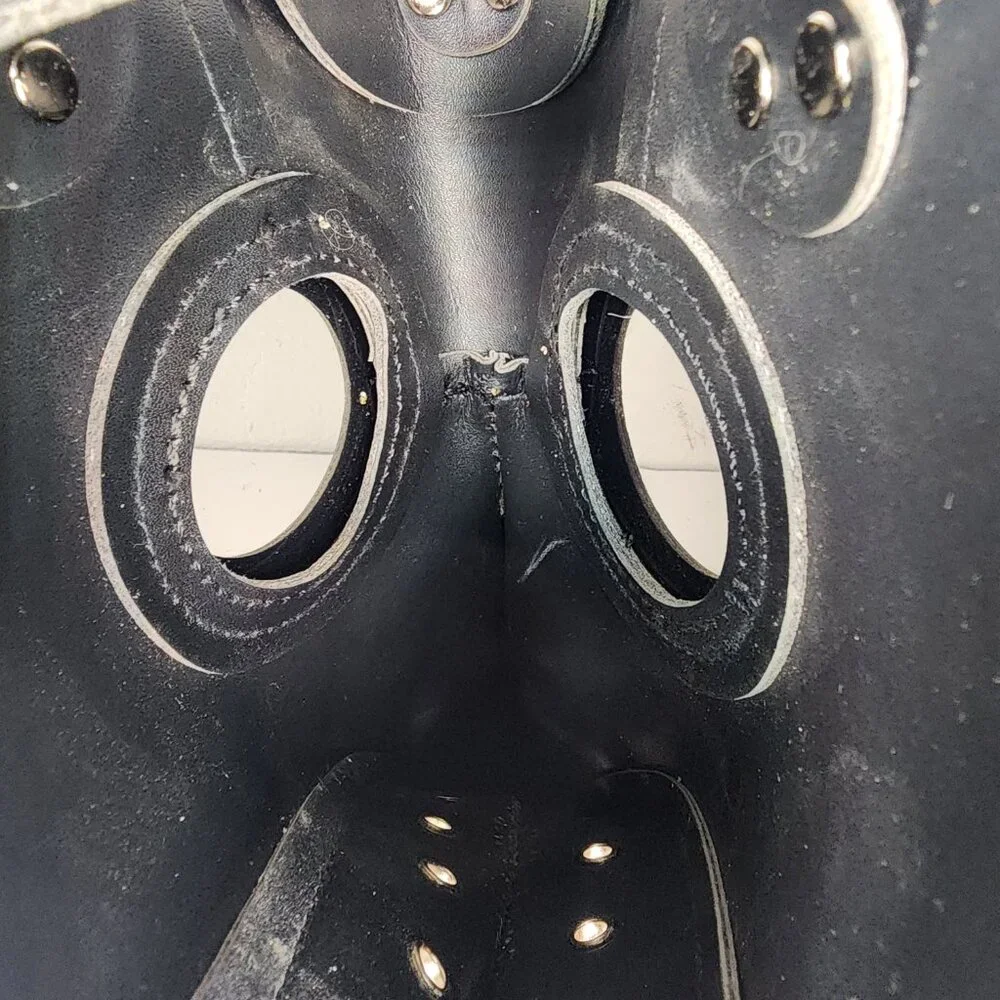 Steampunk Plague Doctor Mask - Black & Silver Raven/Crow Cosplay (One Size)